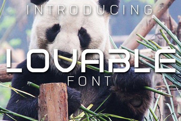 Lovable Font Review